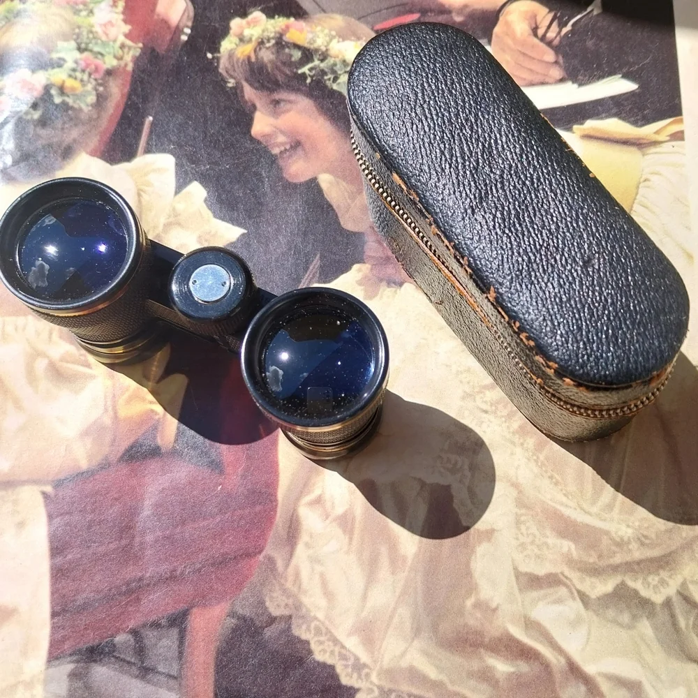 Black and Gold Binoculars with Case - Picture 4 of 11